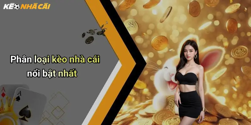 Phân loại kèo nhà cái nổi bật nhất
