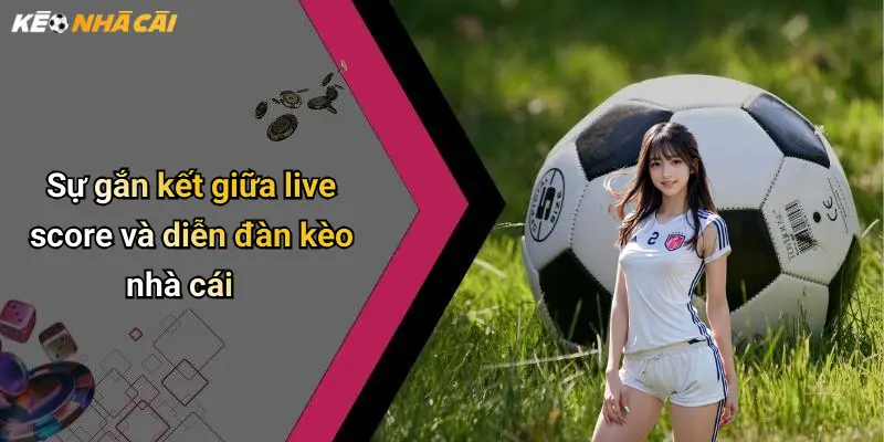 Sự gắn kết giữa live score và diễn đàn kèo nhà cái