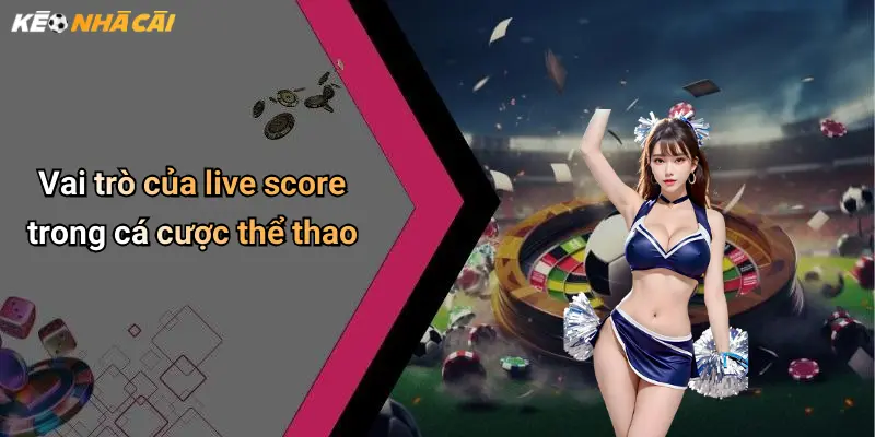Vai trò của live score trong cá cược thể thao