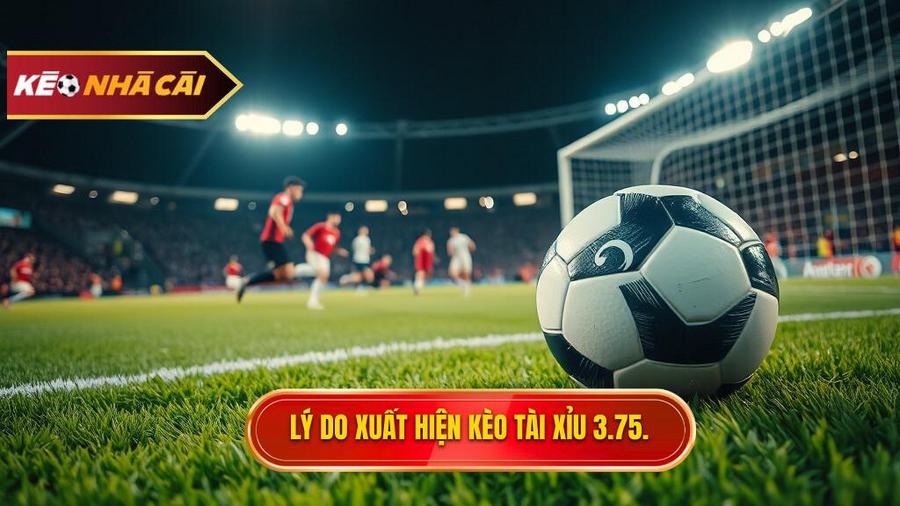 Tại sao Kèo tài xỉu 3.75 hiệp 2 lại xuất hiện?